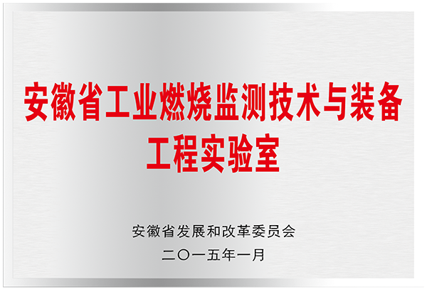 安徽省工业燃烧监测技术与装备工程实验室